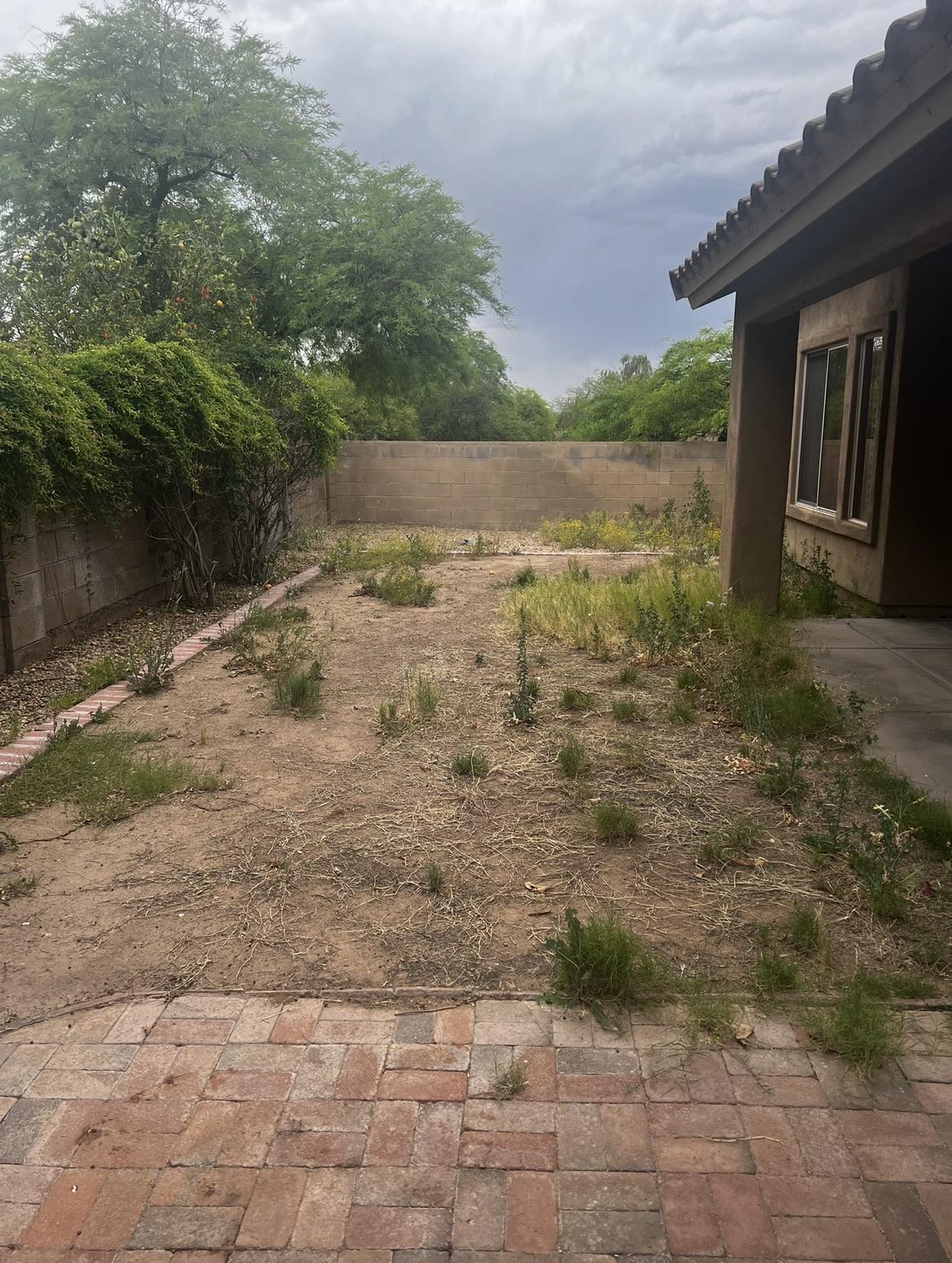Before photo