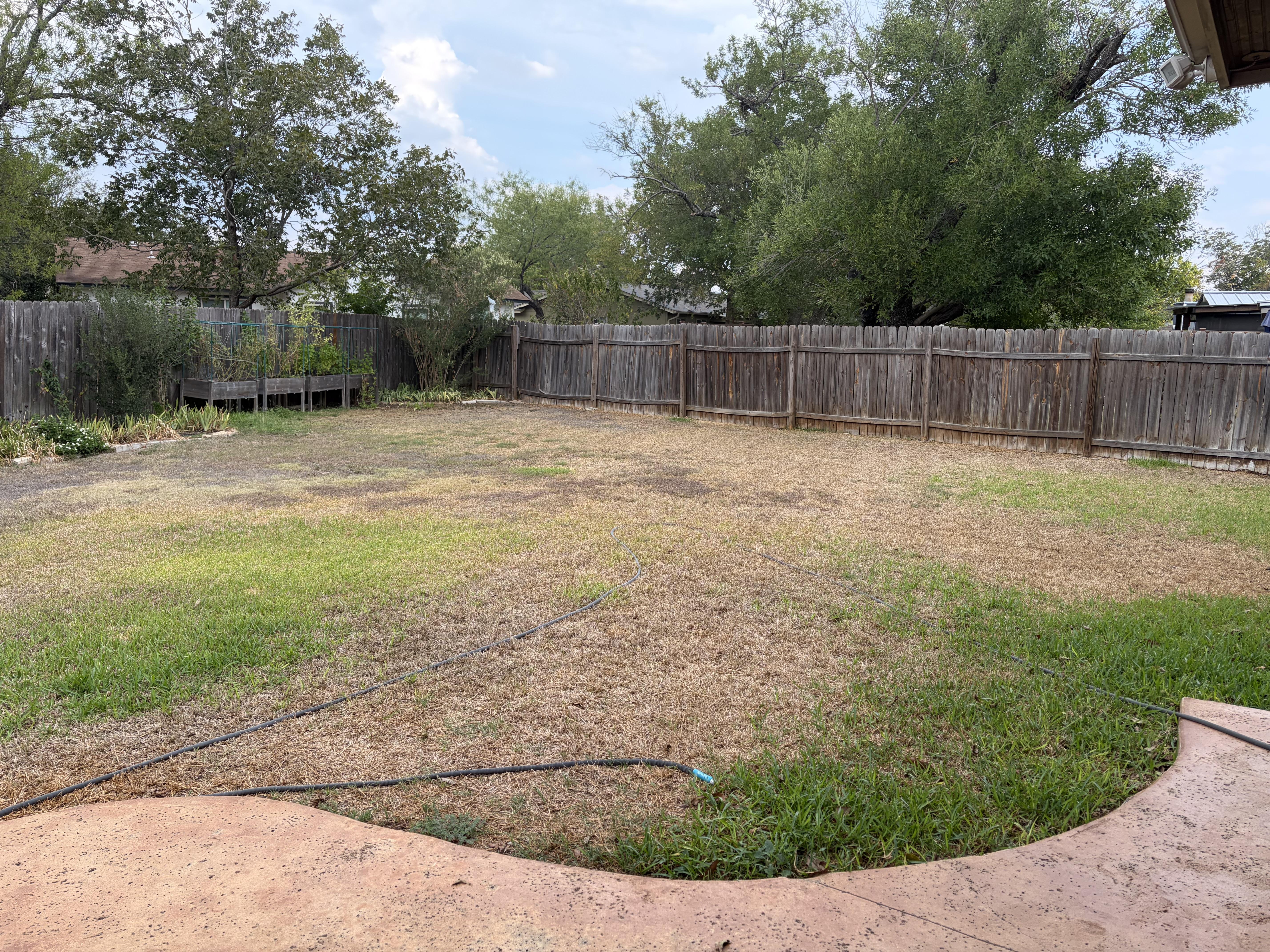 Before photo
