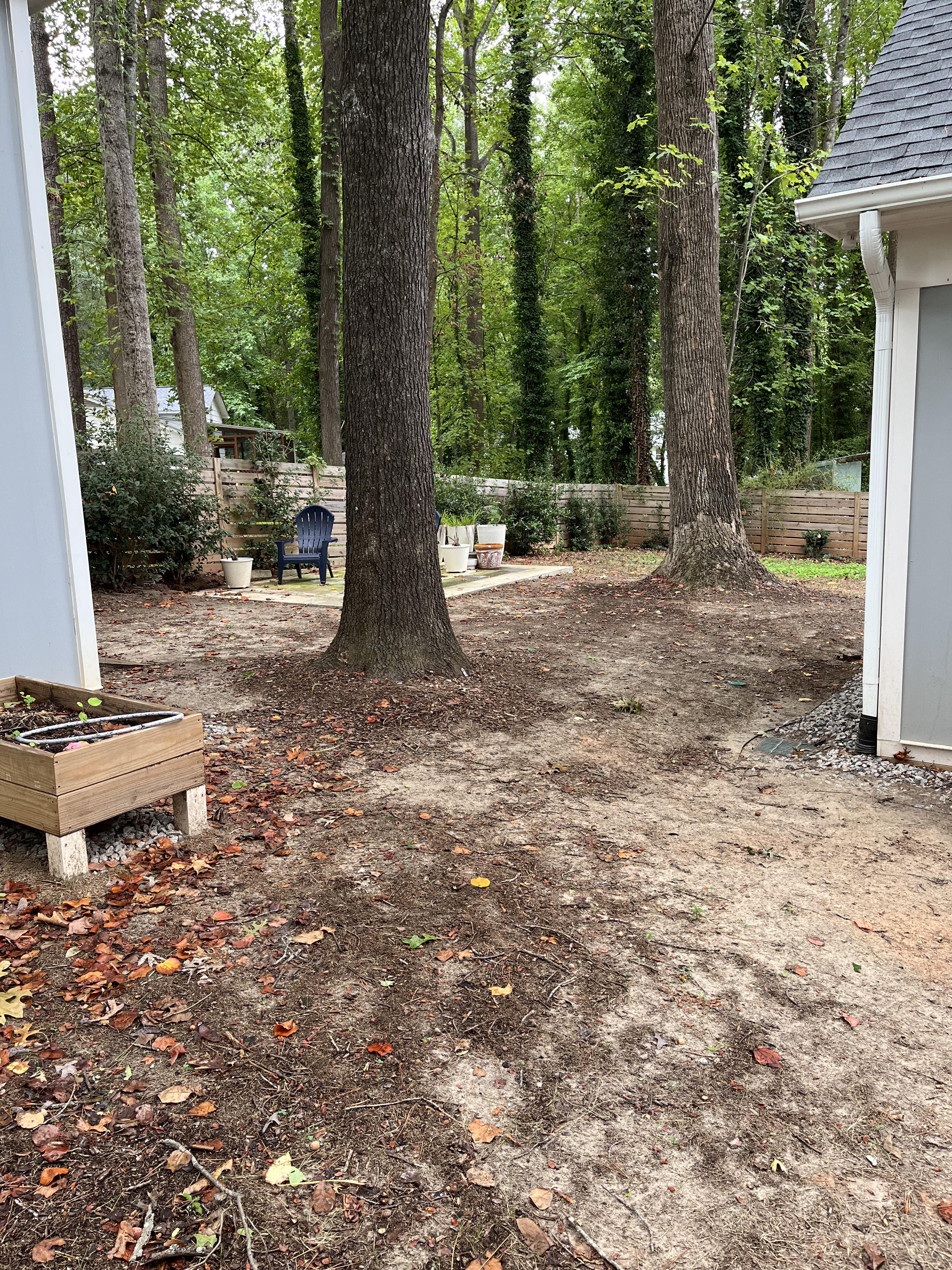 Before photo